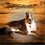 Tina Grogan's profile image