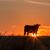 Sandy Taylor's profile image