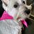 Rose Ann Browning's profile image