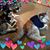 Vicki Peplin's profile image