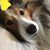Kim Hall's profile image