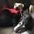 Patrick Garvin's profile image