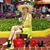 Larisa Ivanova's profile image