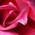 Yasha Carpenter-People's profile image