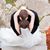 Taylor Whalen's profile image