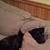 Pat Robideau's profile image