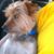 Carson Watkins's profile image