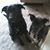 Mary Retzlaff's profile image