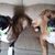 Donnamarie Roccosanto's profile image