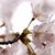 Julie Richerson's profile image