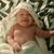 Carol Trowbridge's profile image