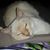 Janet Willman's profile image