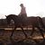 Julie Shaw Hall's profile image