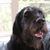 Sandra McClanahan's profile image