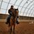 Wendy Miller's profile image