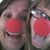 Nancy Gentry's profile image