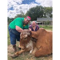 Kyle Gregory Reninger's profile image