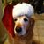 Lynn Gehlbach's profile image