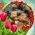Barbara Minniti's profile image