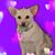 Bridget Lenhardt's profile image
