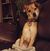 Victoria Grabowski's profile image