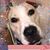 Cathie Baker's profile image