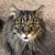 Ann Heidemann's profile image