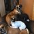 Sally Lewis's profile image