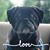 Julie Morrison McKeever's profile image