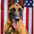 Brasher Brasher's profile image
