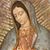 Yola Montanez's profile image