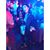 Toni Endsley's profile image