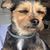 Susan Cottrell's profile image
