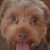 Skip Usher's profile image