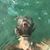 Carl Hasten's profile image