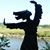 Denise Berg Mellor's profile image