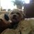 Nancy Phelps Cooper's profile image