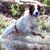 Dominick Cenotti's profile image