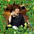 Tricia Walsh's profile image