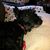 Diane Durkee's profile image
