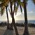 Judy Chavera Rodriguez's profile image
