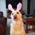 Diane Marie Carroll's profile image