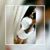 Chanty Nanez's profile image