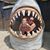 Elizabeth Sowa's profile image