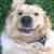Dyan Ford's profile image