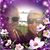 Jilly Bean's profile image