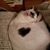 Martha Robinson's profile image