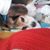 Donna Dellarciprete Day's profile image