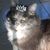 Sherry V Sotres's profile image