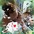 Brittany Phillips's profile image